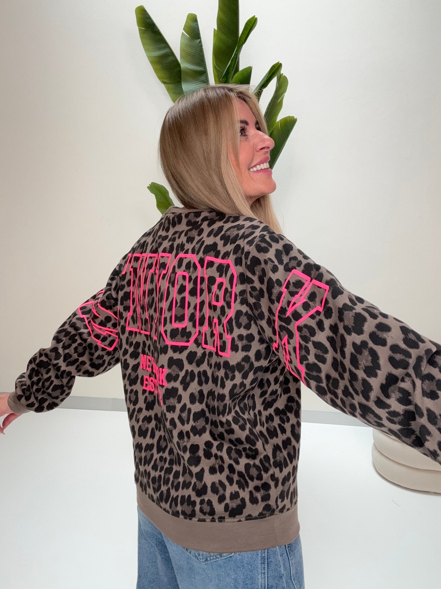 Butterstoff Pullover LEO mit Rückenprint NEW YORK taupe