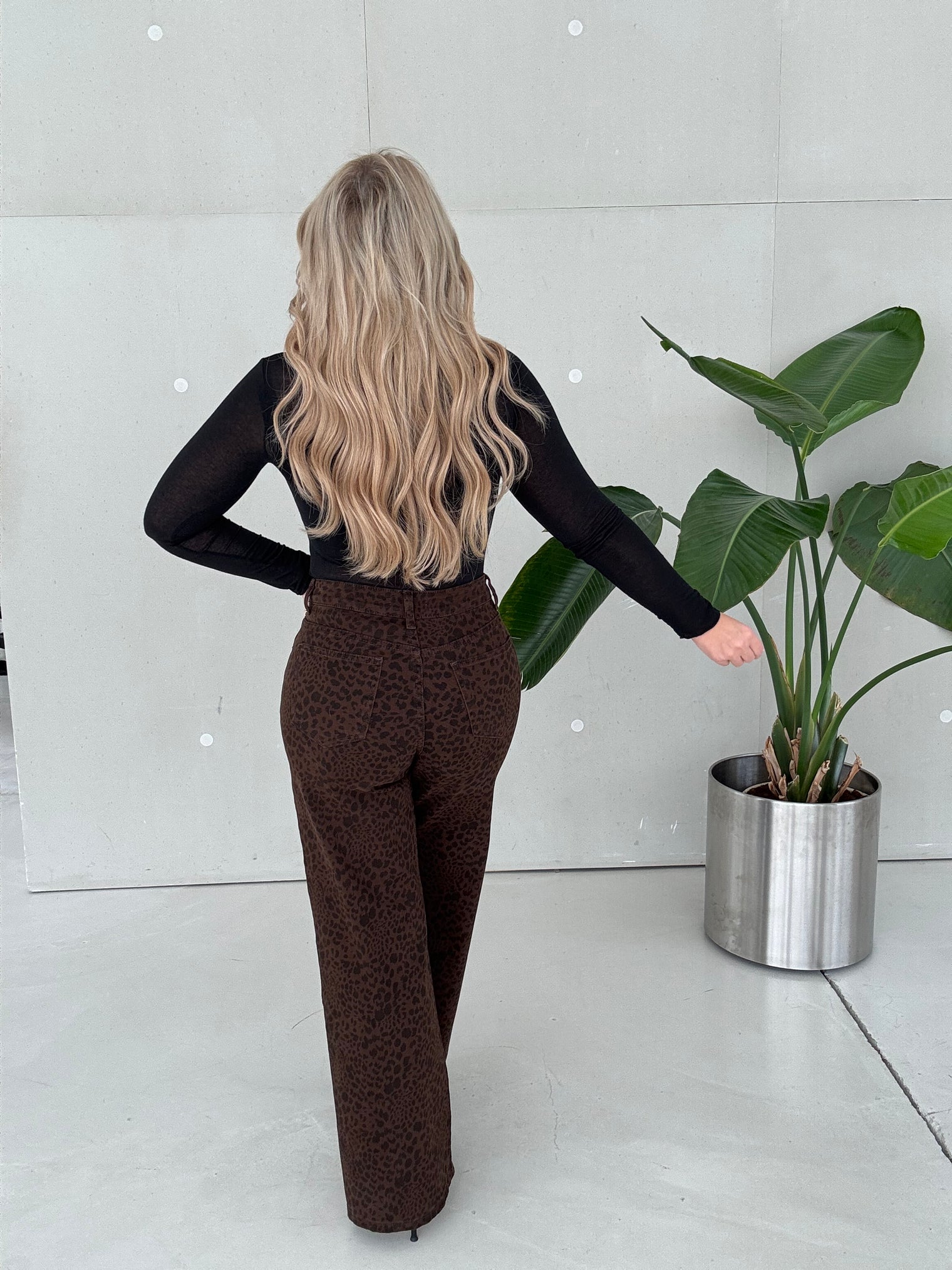 Jeans WILD LEO Chokolate mit Stech