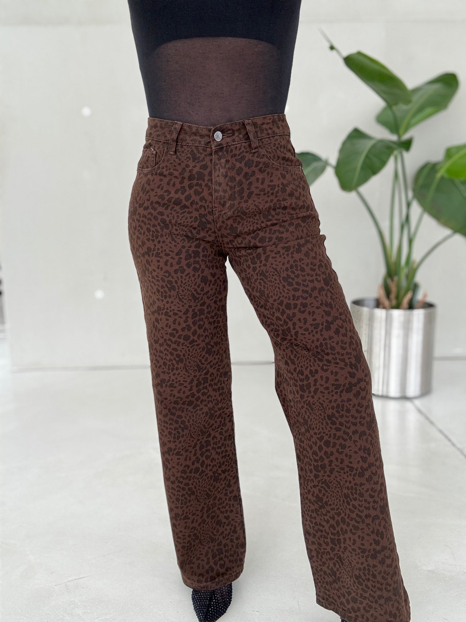 Jeans WILD LEO Chokolate mit Stech