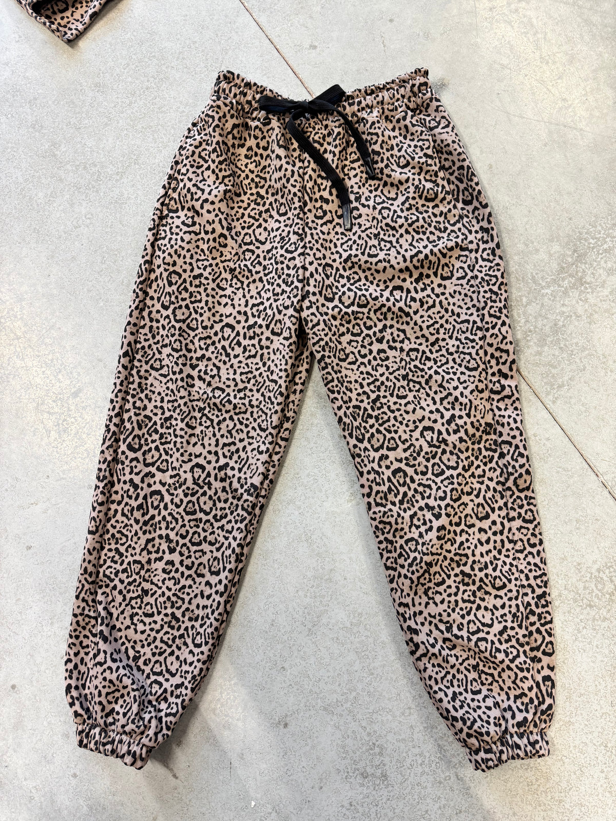 Sweat Pants LEO CRUSH taupe