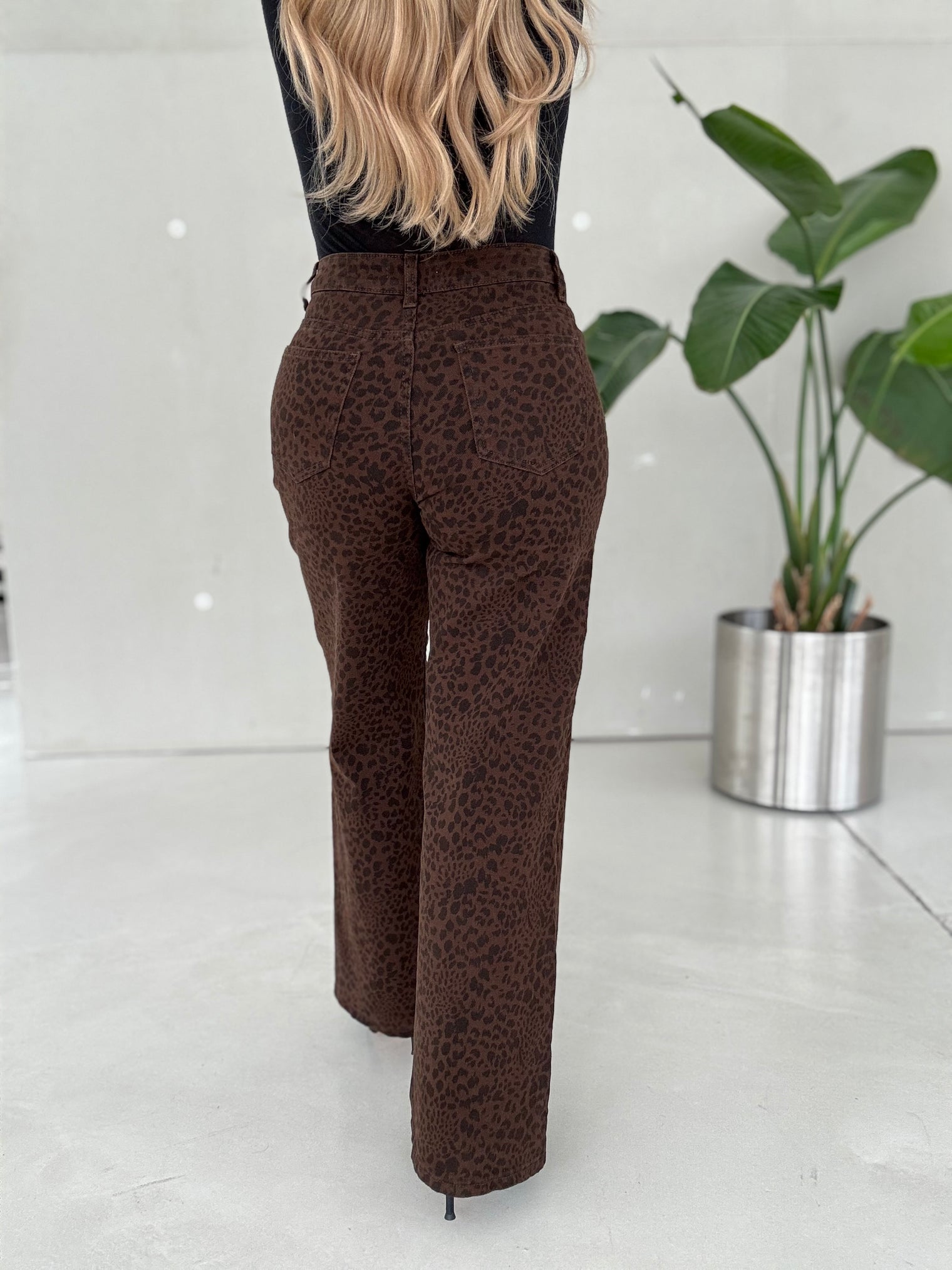 Jeans WILD LEO Chokolate mit Stech